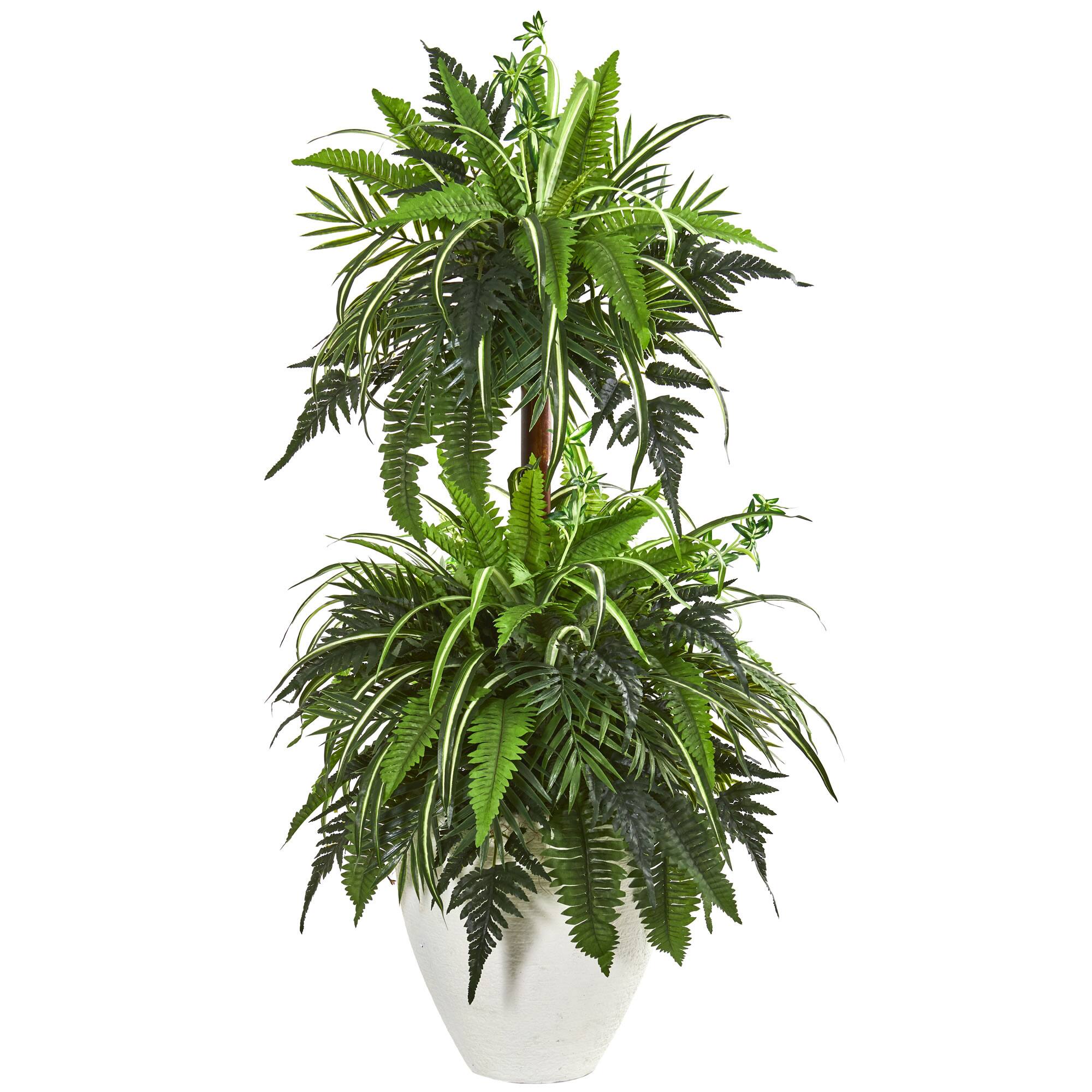 4ft. Mixed Greens & Fern Plant in White Planter